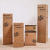 Asparagus Fern Pair