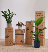 Artificial Fatsia Japonica
