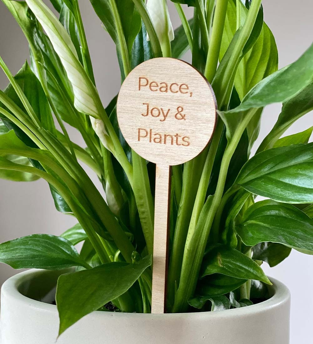 Peace, Joy & Plants Plant Pick