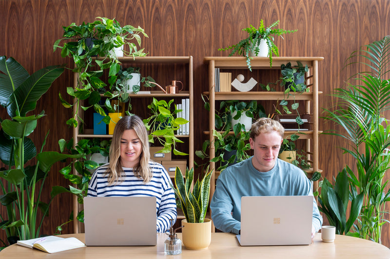 plants for businesses