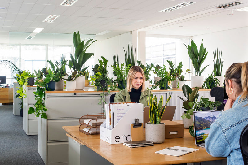 Office installations