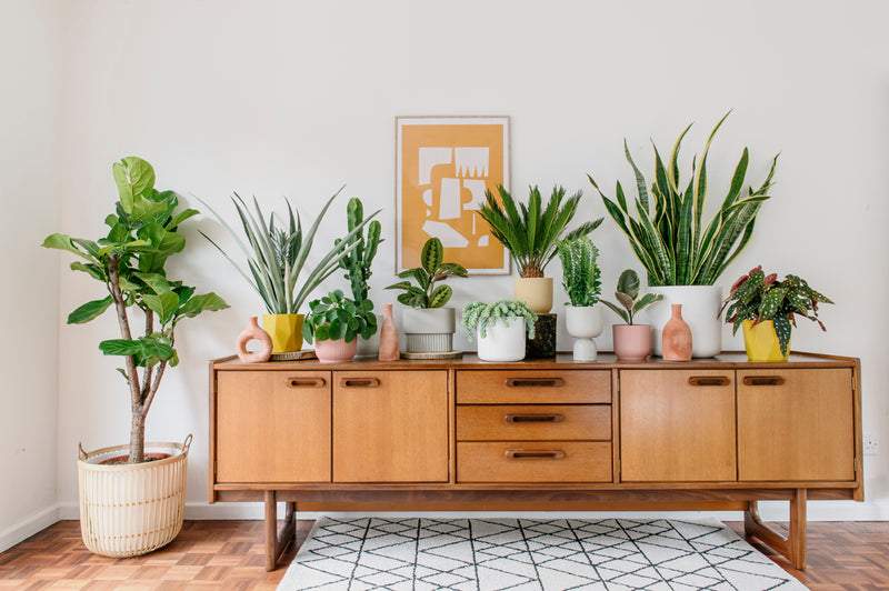 are you an interior designer?