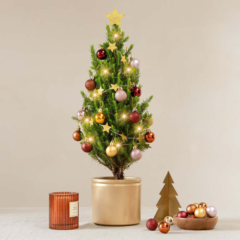 Golden Glow Mini Christmas Tree