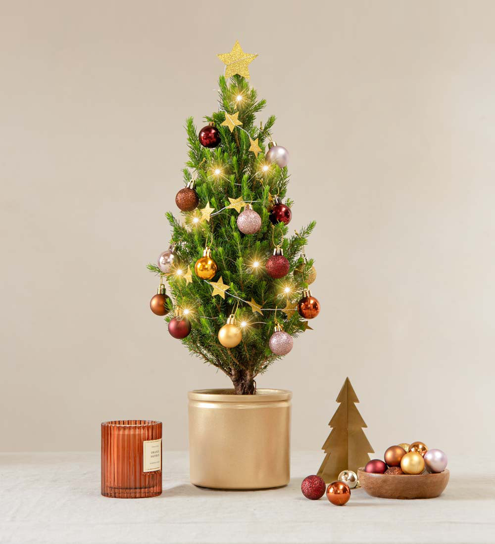 Golden Glow Mini Christmas Tree