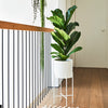 New Home Bundle