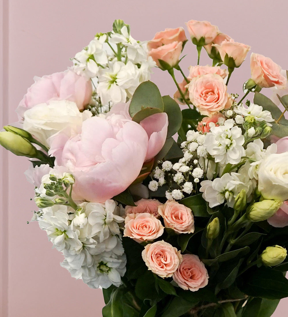 Peony Blush
