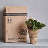 Pineapple Plant & Pot