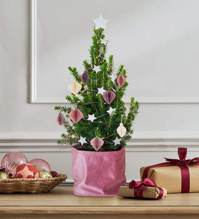 Sugar Plum Mini Christmas Tree