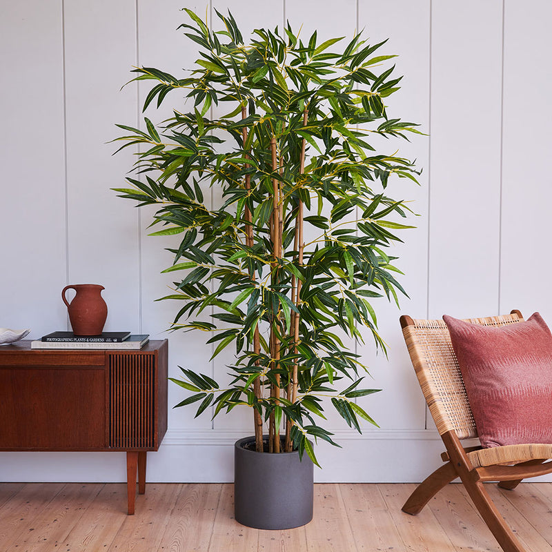 Artificial Tall Pair