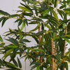 Artificial Tall Pair