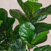 Artificial Fig Pair