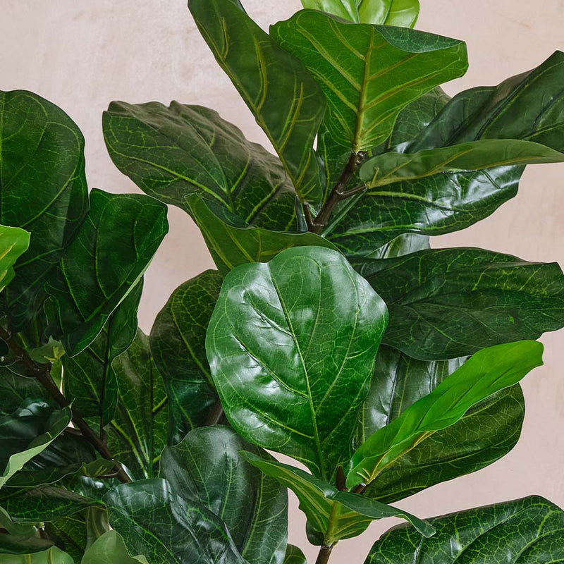 Artificial Fig Pair