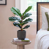 Artificial Fig Pair