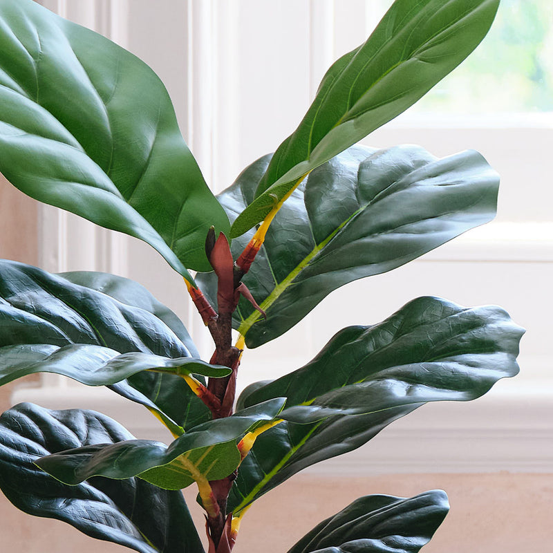 Artificial Fig Pair