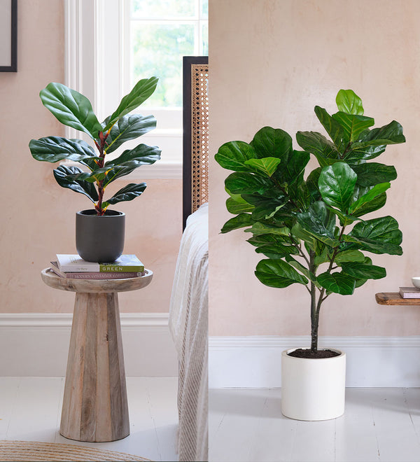 Artificial Fig Pair