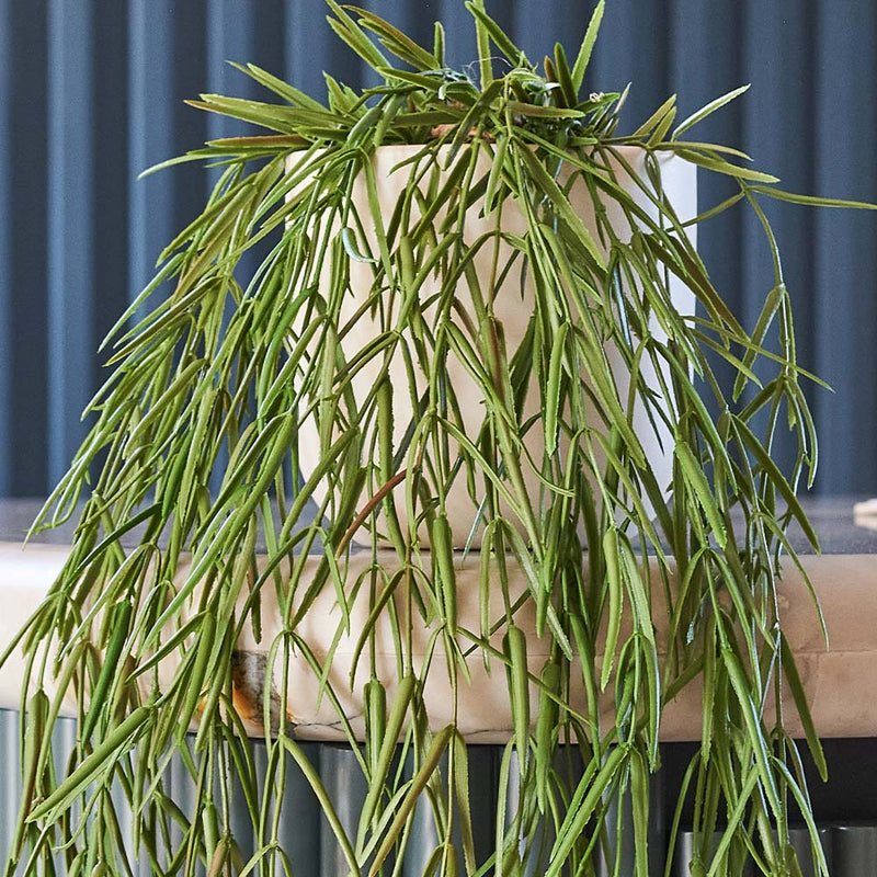 Artificial Trailing Bundle