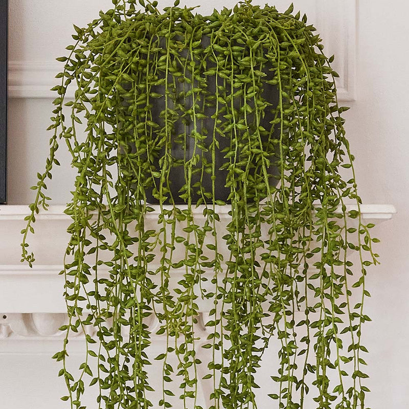 Artificial Trailing Bundle
