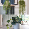 Artificial Trailing Bundle