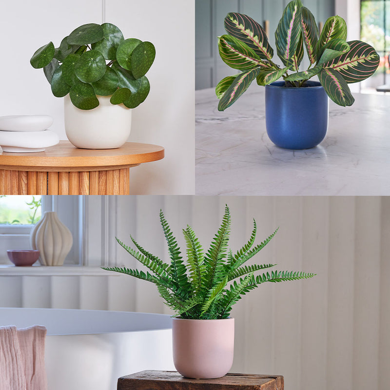 Artificial Essentials Bundle