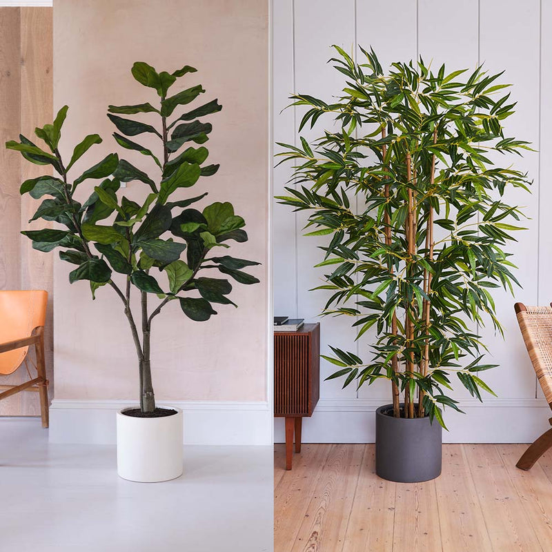 Artificial Tall Pair