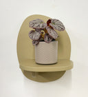 Taupe Pot