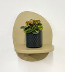 Grey Pot