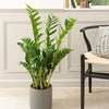 Cool Grey Air Purifying Bundle