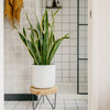 Cool Grey Air Purifying Bundle