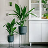 Cool Grey XL Bundle