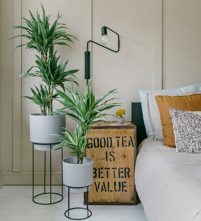 Cool Grey Large Bundle