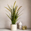 Artificial Pennisetum Green