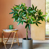 Imperfect Artificial Plant