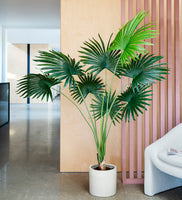 Artificial Livistona Palm