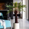 Artificial Tree Fern