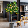 Imperfect Artificial Plant
