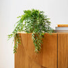 Artificial Bamboo Hanging