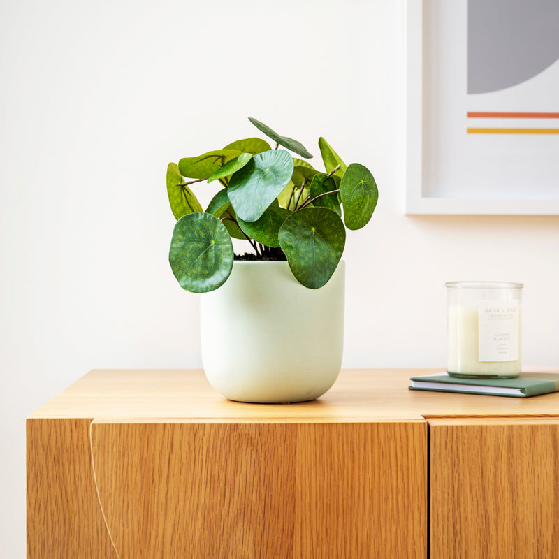 Artificial Money Plant