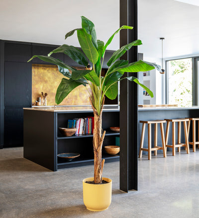 Artificial Banana Tree