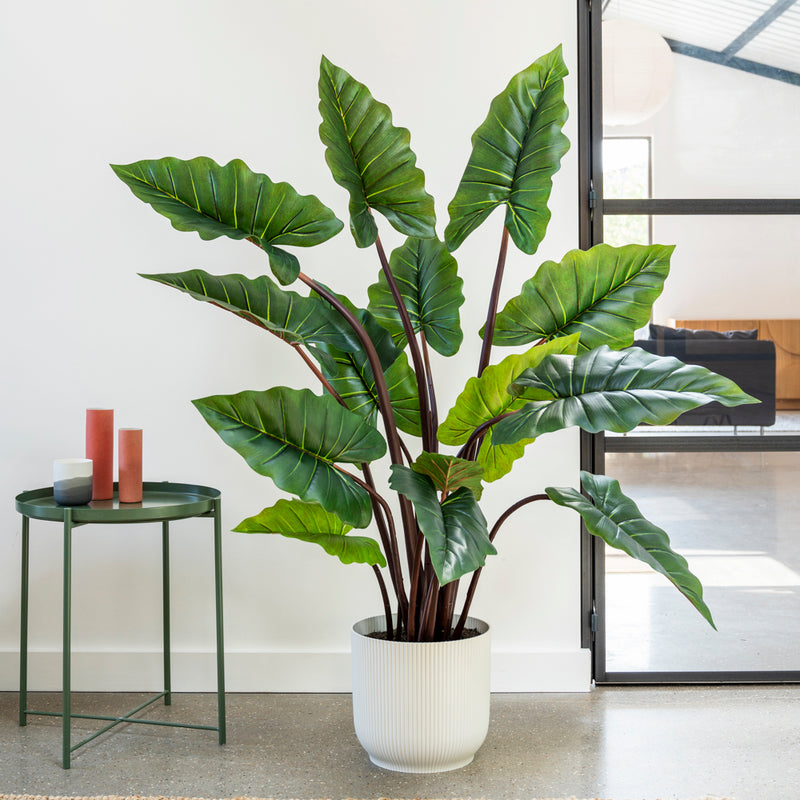 Artificial Alocasia Colocasia