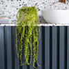 Artificial String of Pearls Hanging