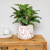 Splatter Pot x Hot Pottery Cranberry
