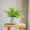 Splatter Pot x Hot Pottery