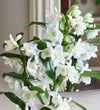 Bamboo Orchid & Pot