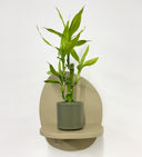 Khaki Pot