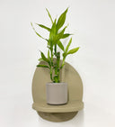 Taupe Pot