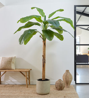 Artificial Banana Tree