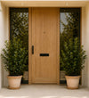 Pair of Medium Bay Tree