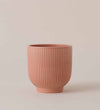 Pink Ribbed Ceramic Pot (13cm)