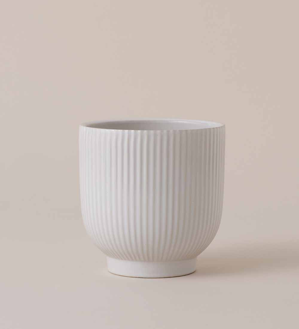 Round Ribbed Pot White White Ribbed Ceramic Pot (13cm)