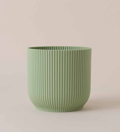 Mint Pot with Self-Watering Insert (18cm)